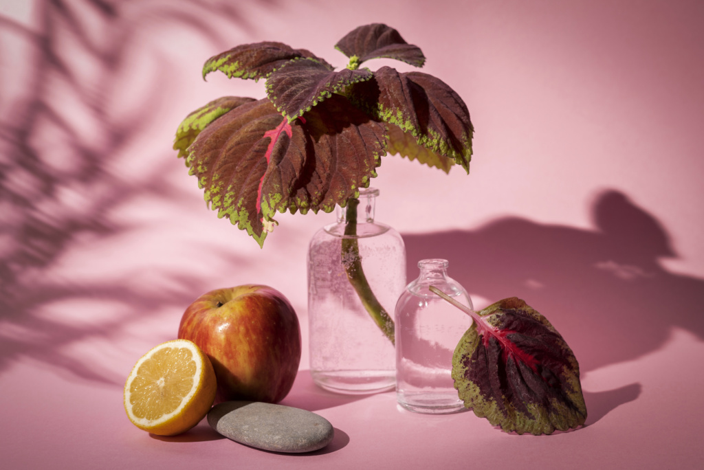 Come realizzare nature morte realistiche in arte digitale