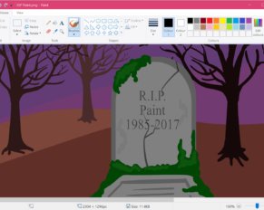 Annunciata nel 2017, la "morte" di Paint ha scatenato la rivolta degli utenti