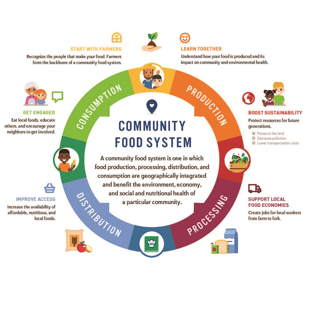 come creare un'infografica