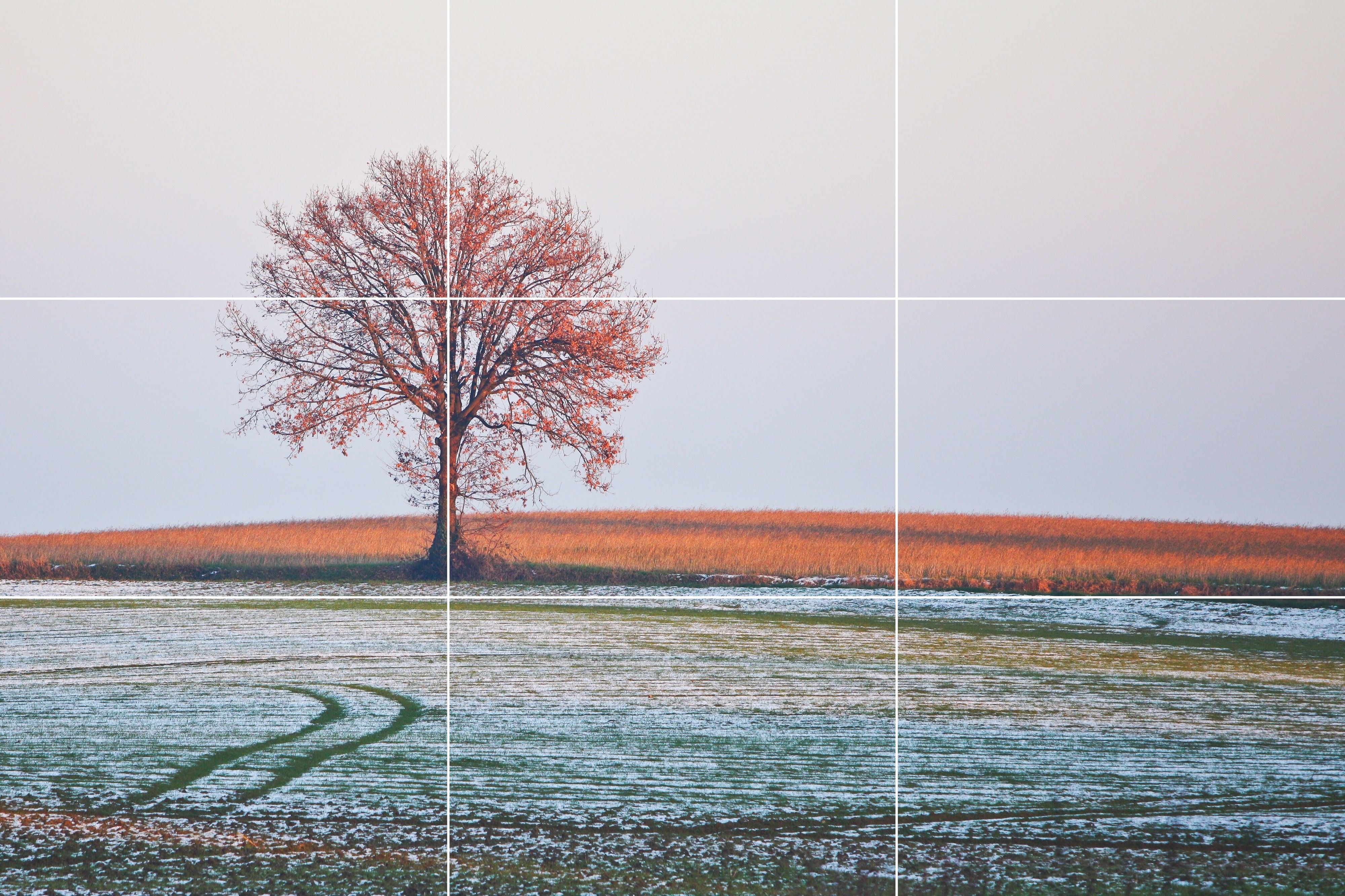 composizione fotografica