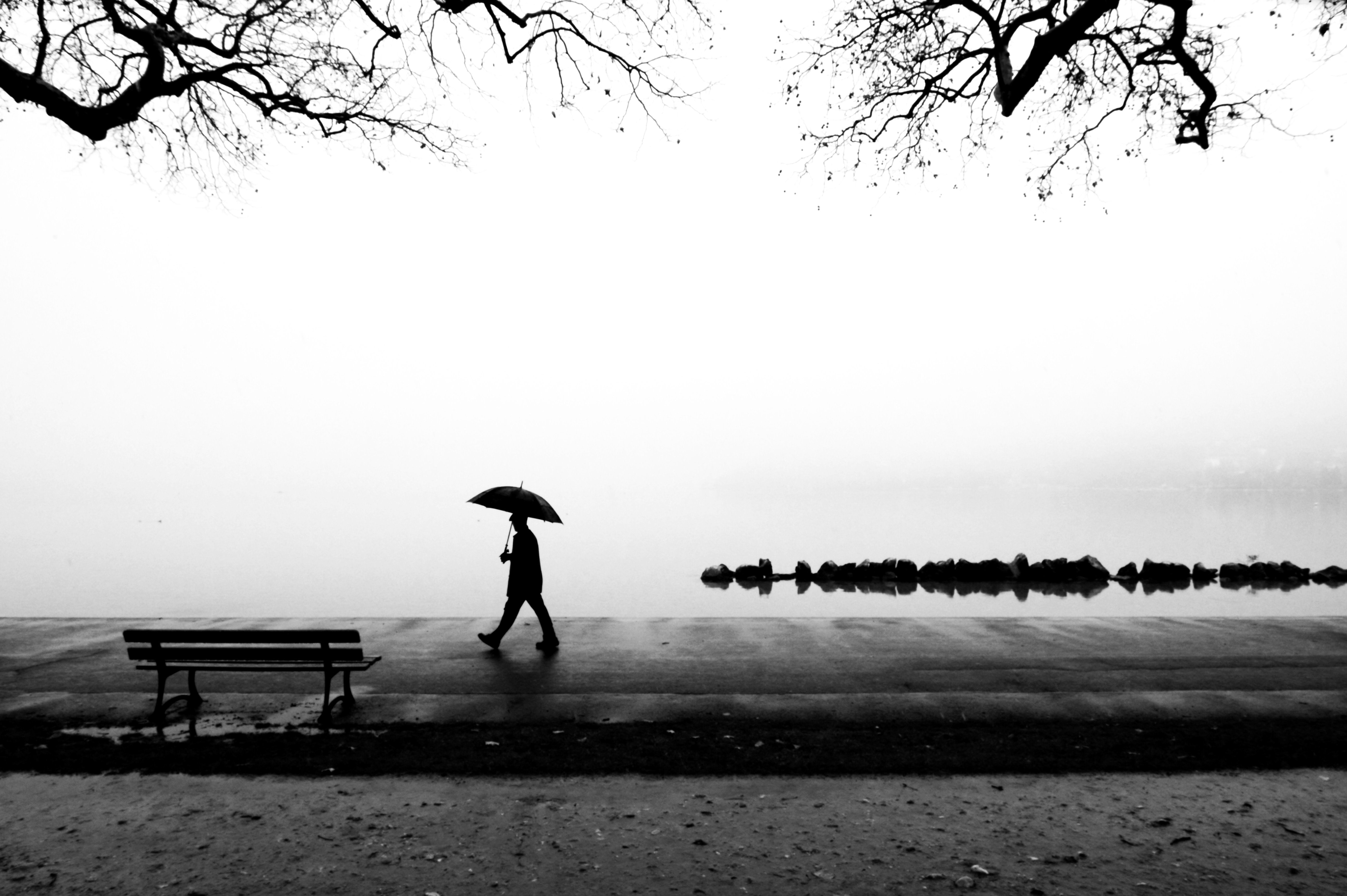 composizione fotografica