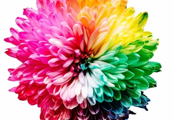teoria dei colori