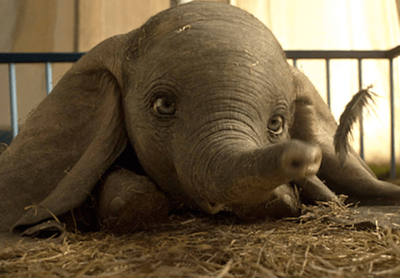 Dumbo in CGI