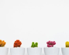 minimalismo