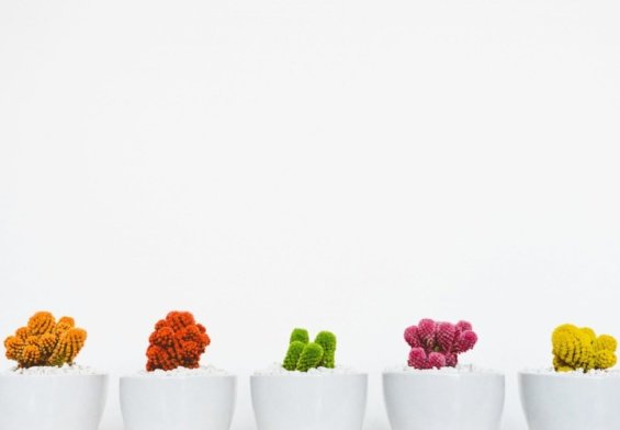 minimalismo