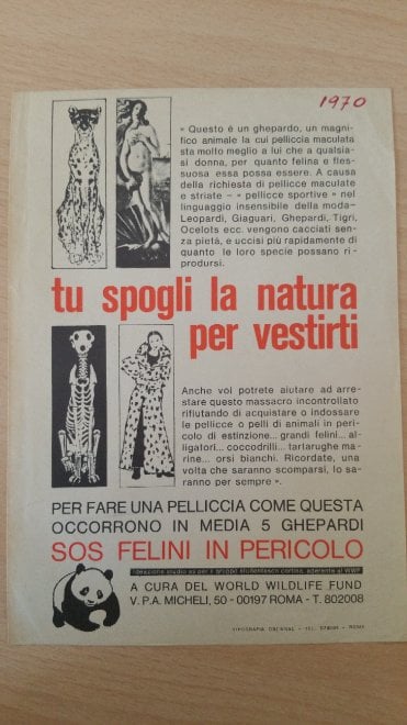 Cartelloni del WWF