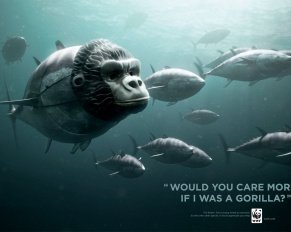 Cartelloni del WWF