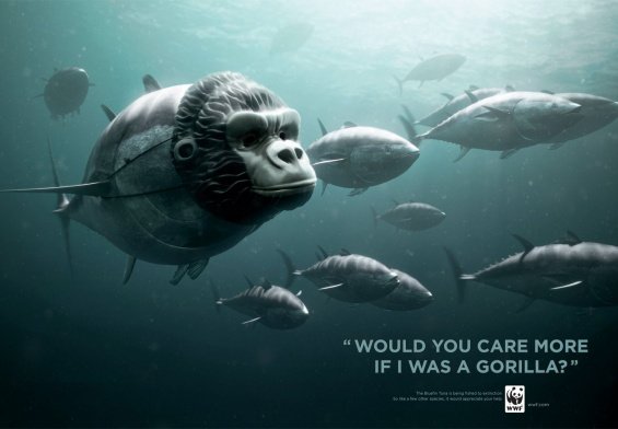 Cartelloni del WWF