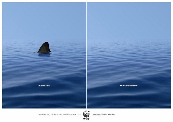 Cartelloni del WWF