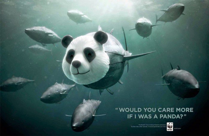 Cartelloni del WWF