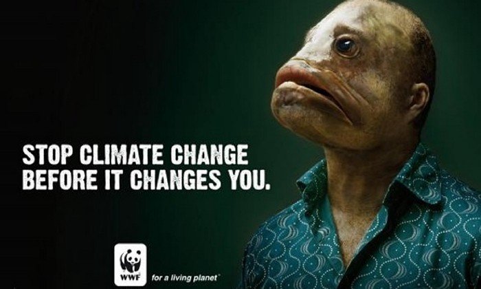 Cartelloni del WWF