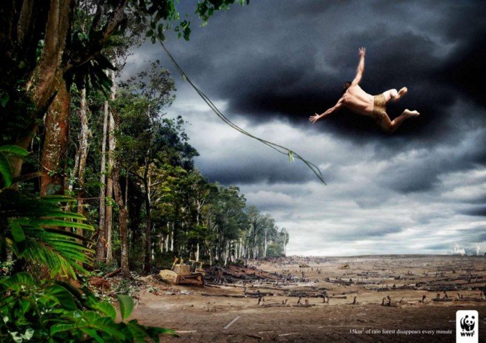 Il problema della deforestazione