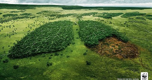 Cartelloni del WWF