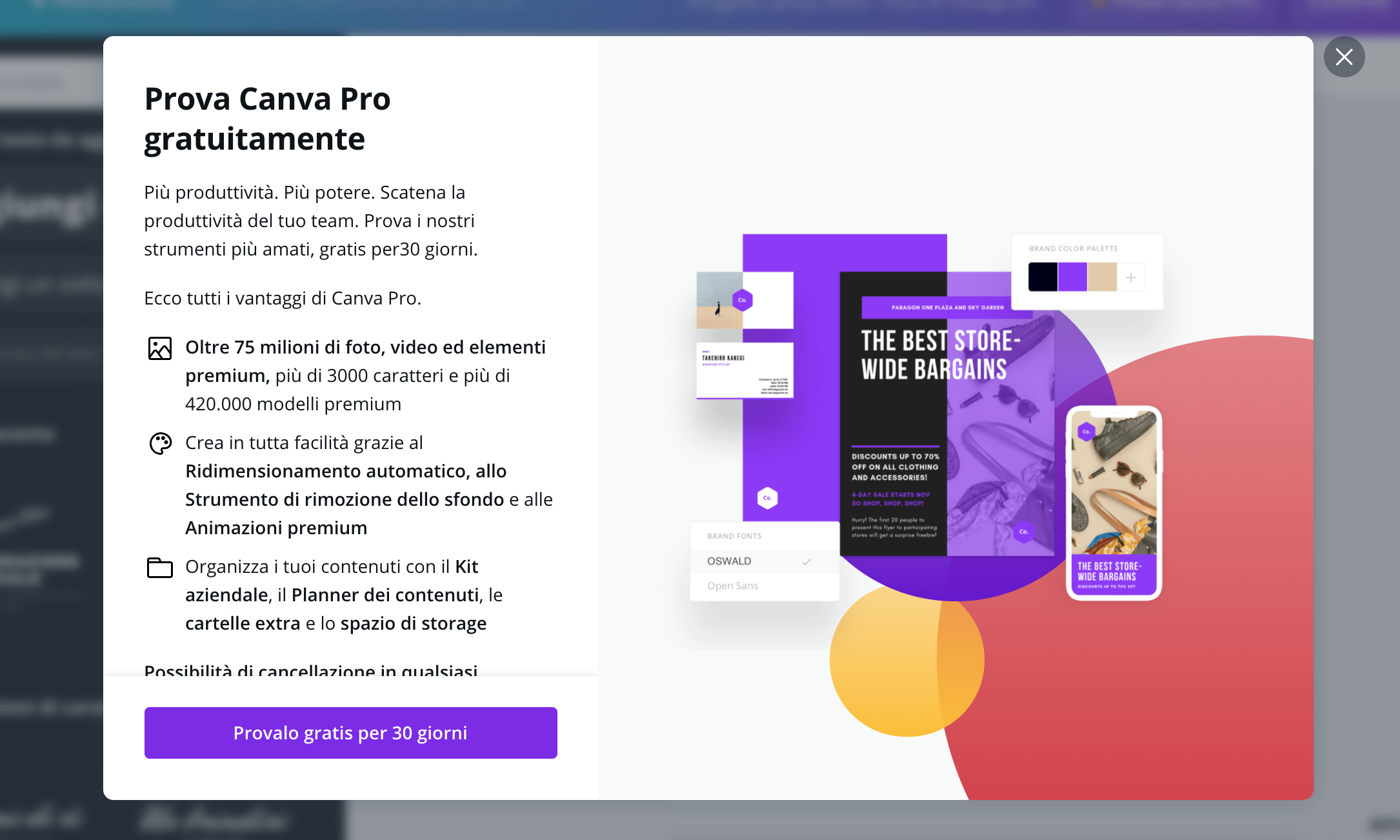 canva versione pro