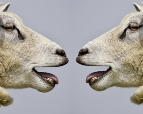 comunicazione efficace