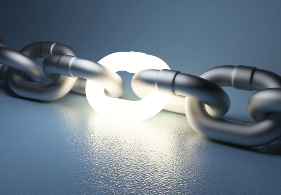 Link Building