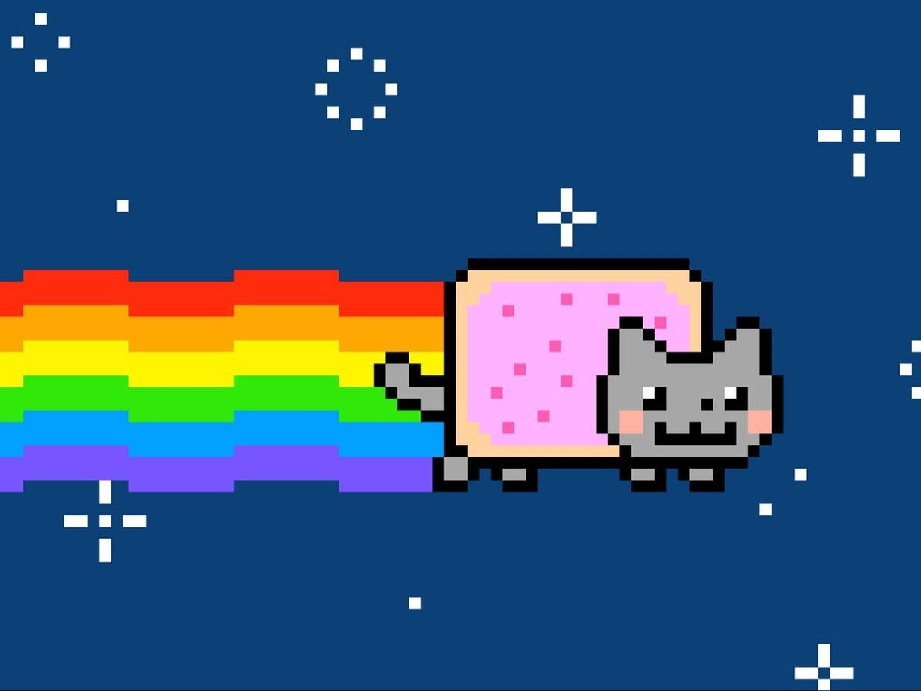 Gattini digitali