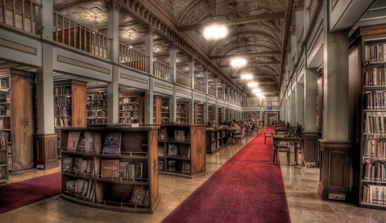 Biblioteca Istanbul