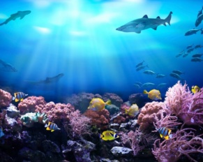 IllusiOcean