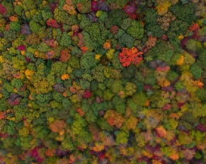 Risoluzione di un'immagine