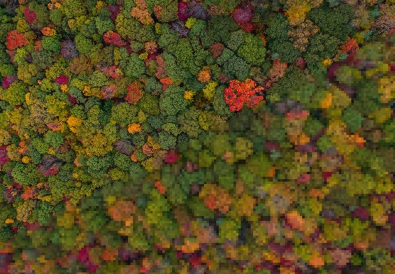 Risoluzione di un'immagine