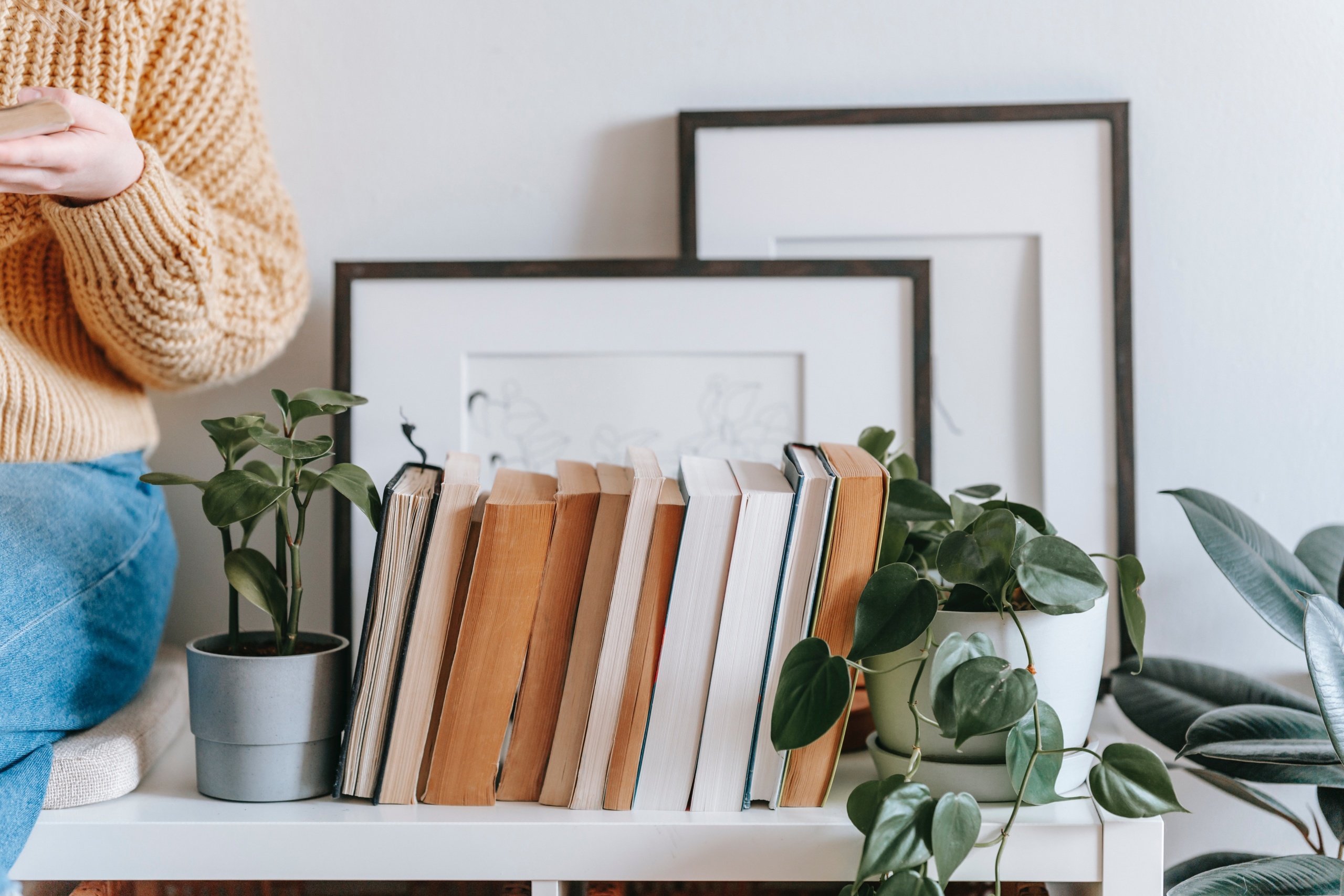 libreria e importanza dell'arte nei libri