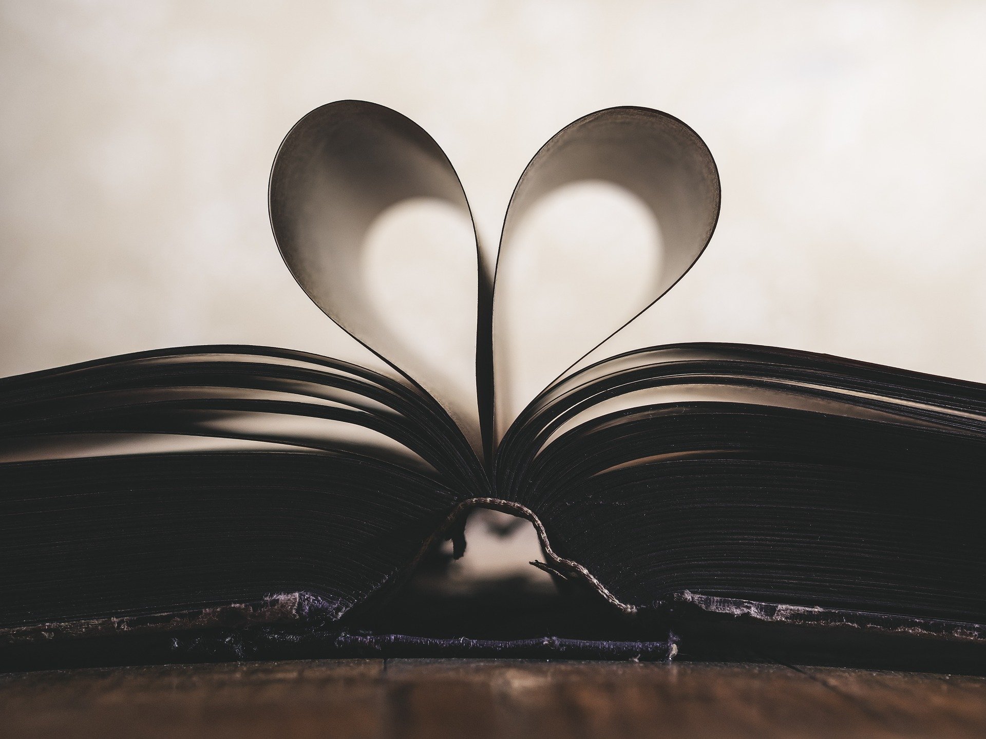 Libri d'architettura da leggere