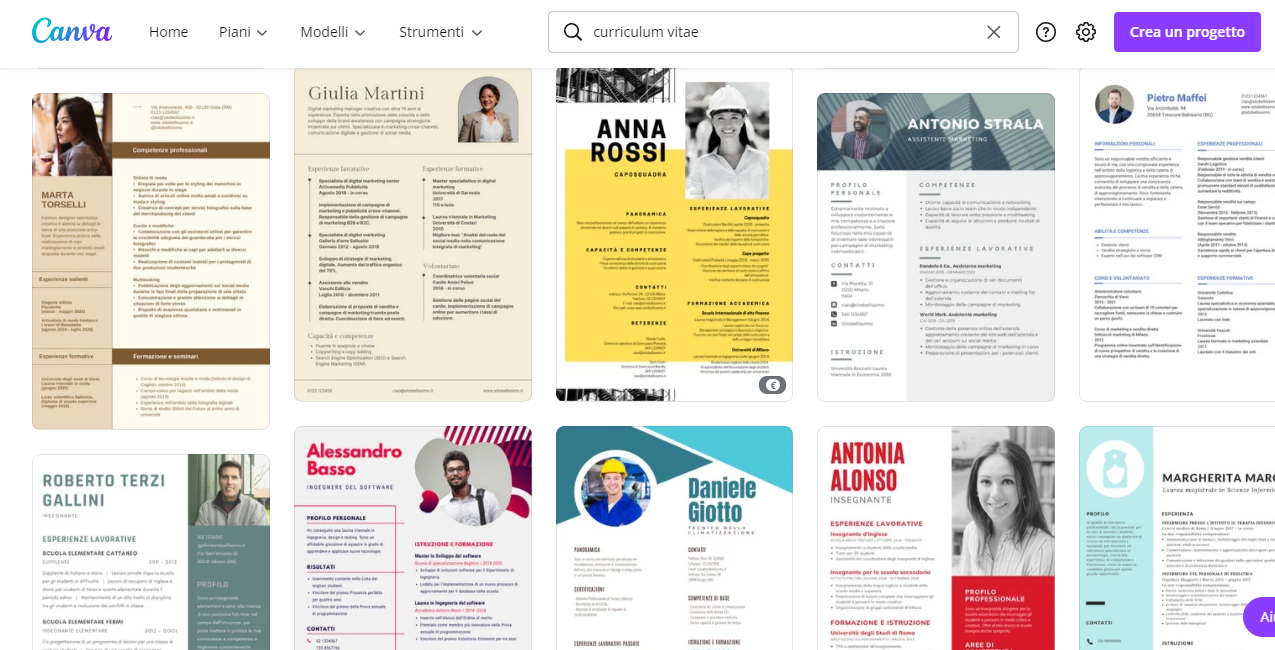 Curriculum Vitae