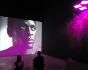 biennale di venezia