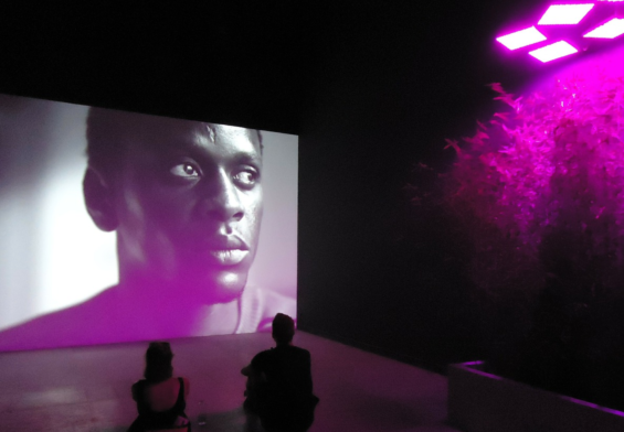 biennale di venezia