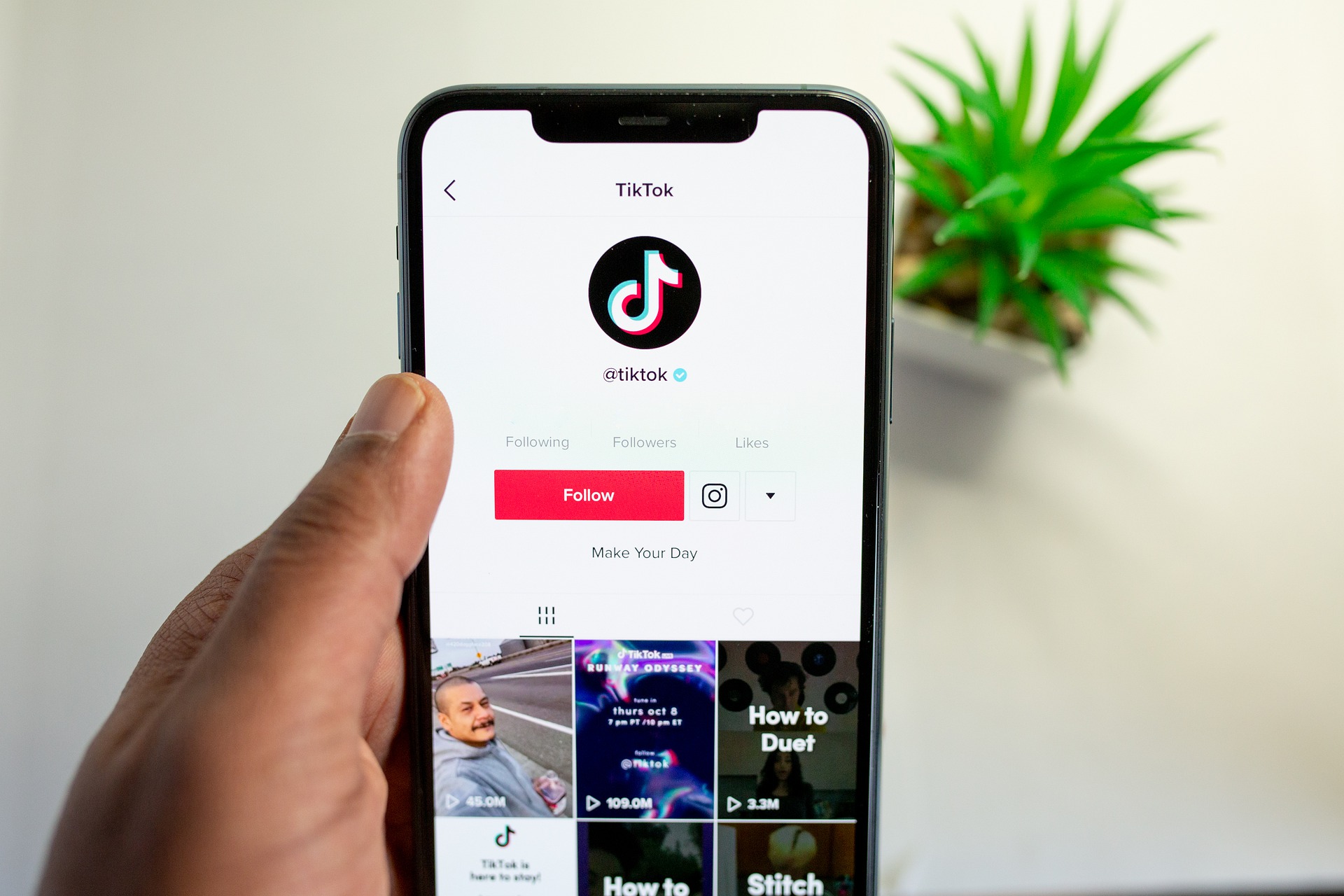 TikTok Kitchen