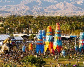 Coachella Festival