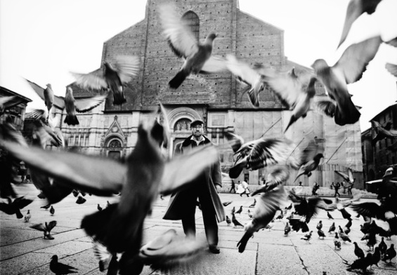 guido harari mostra ancona