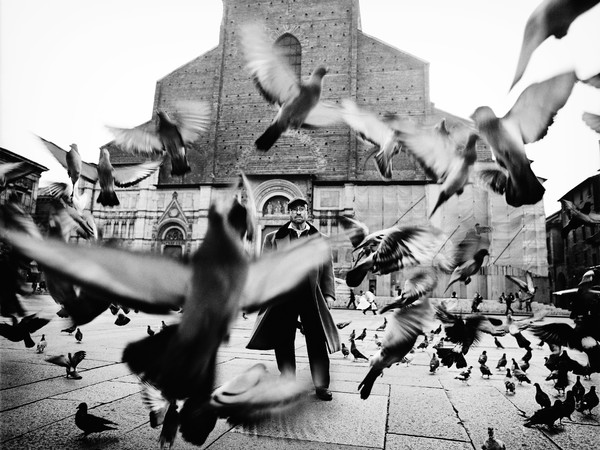 guido harari mostra ancona
