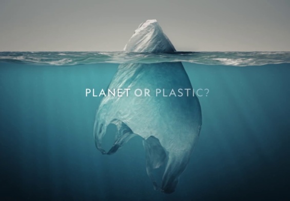 Planet or Plastic