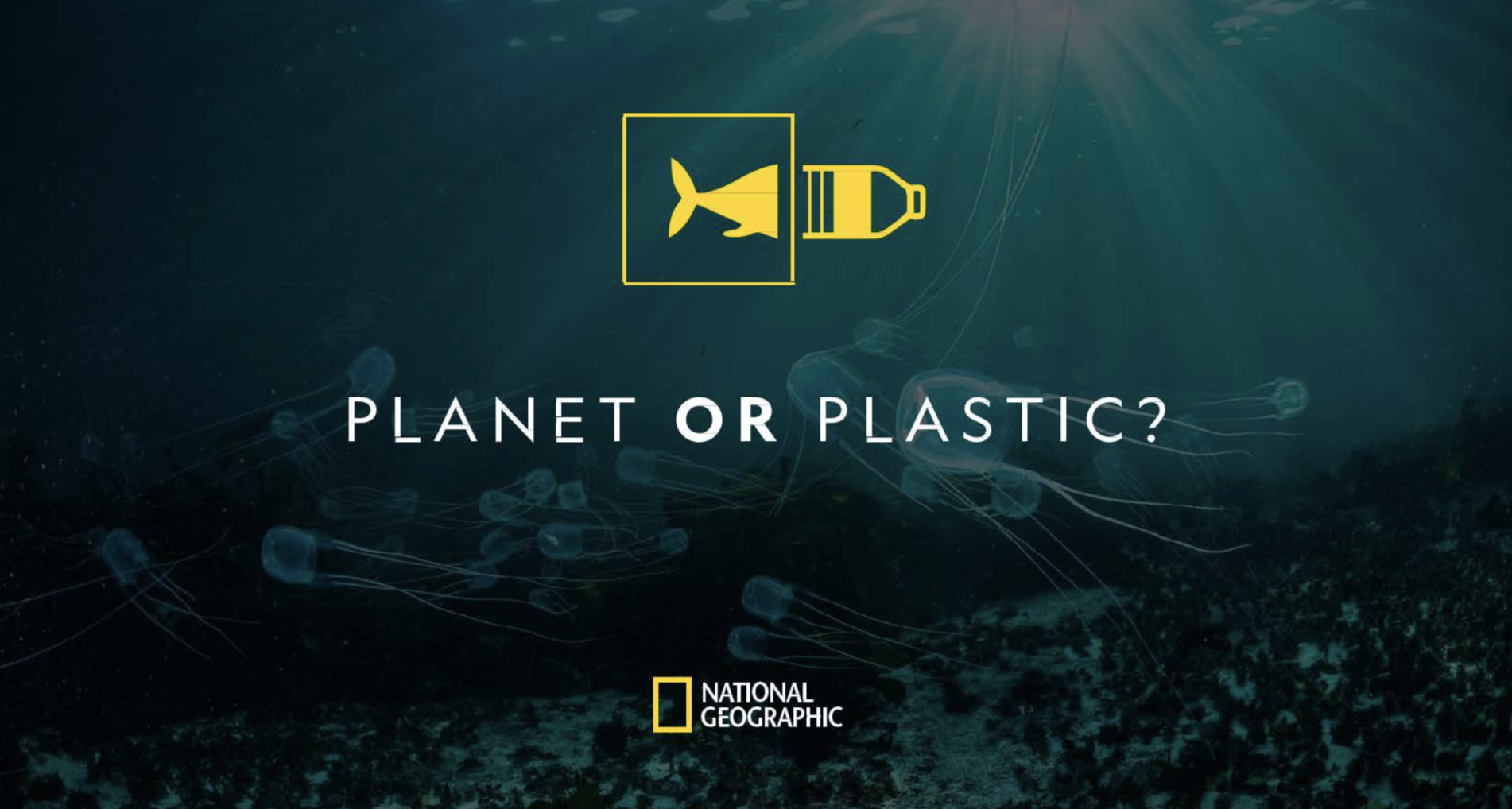 Planet or Plastic