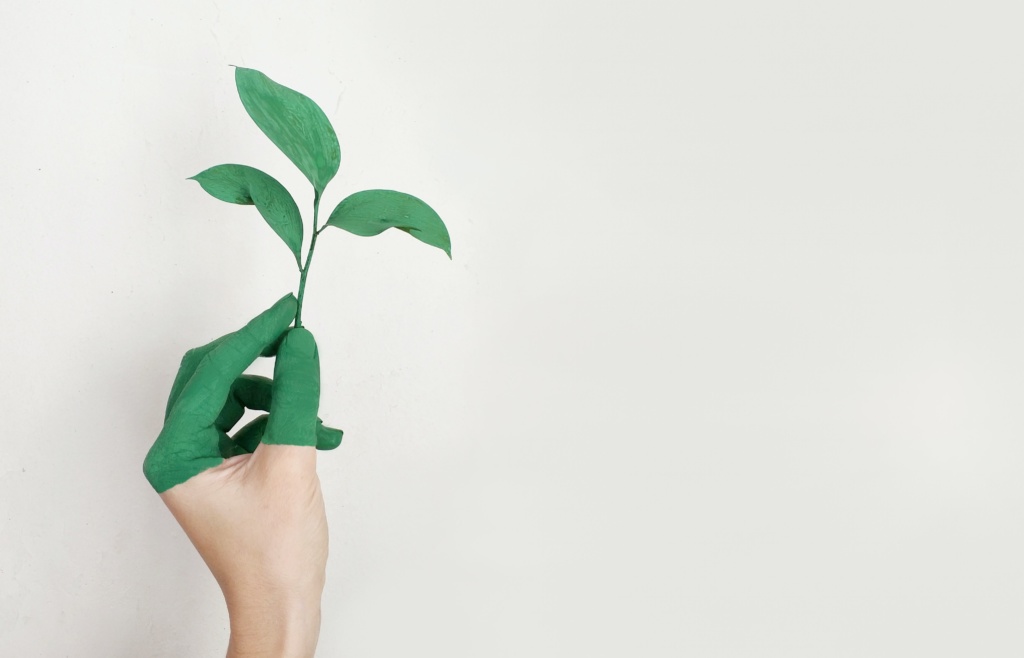 Greenwashing cosa è
