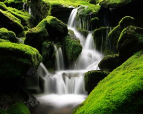 ambiente e brand patagonia