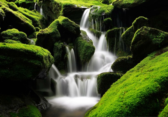 ambiente e brand patagonia