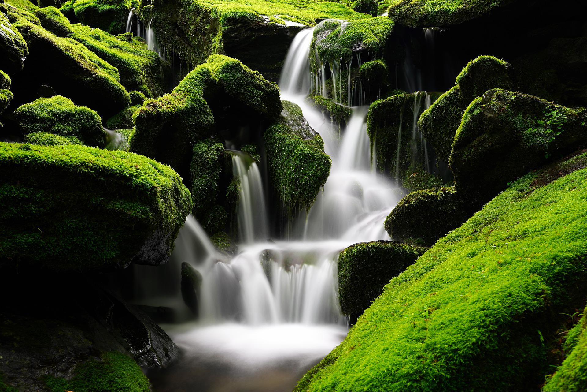 ambiente e brand patagonia