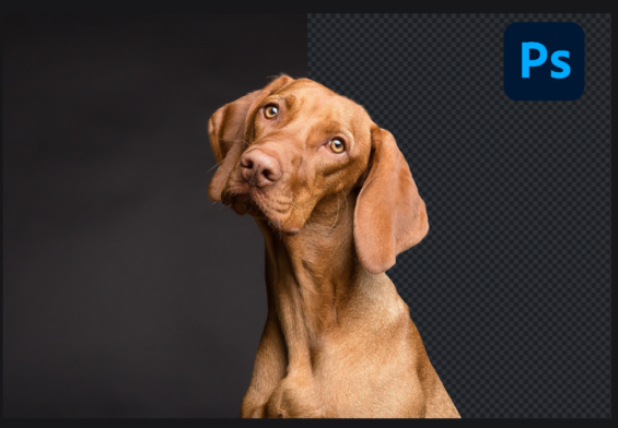Scontornare con Photoshop consigli