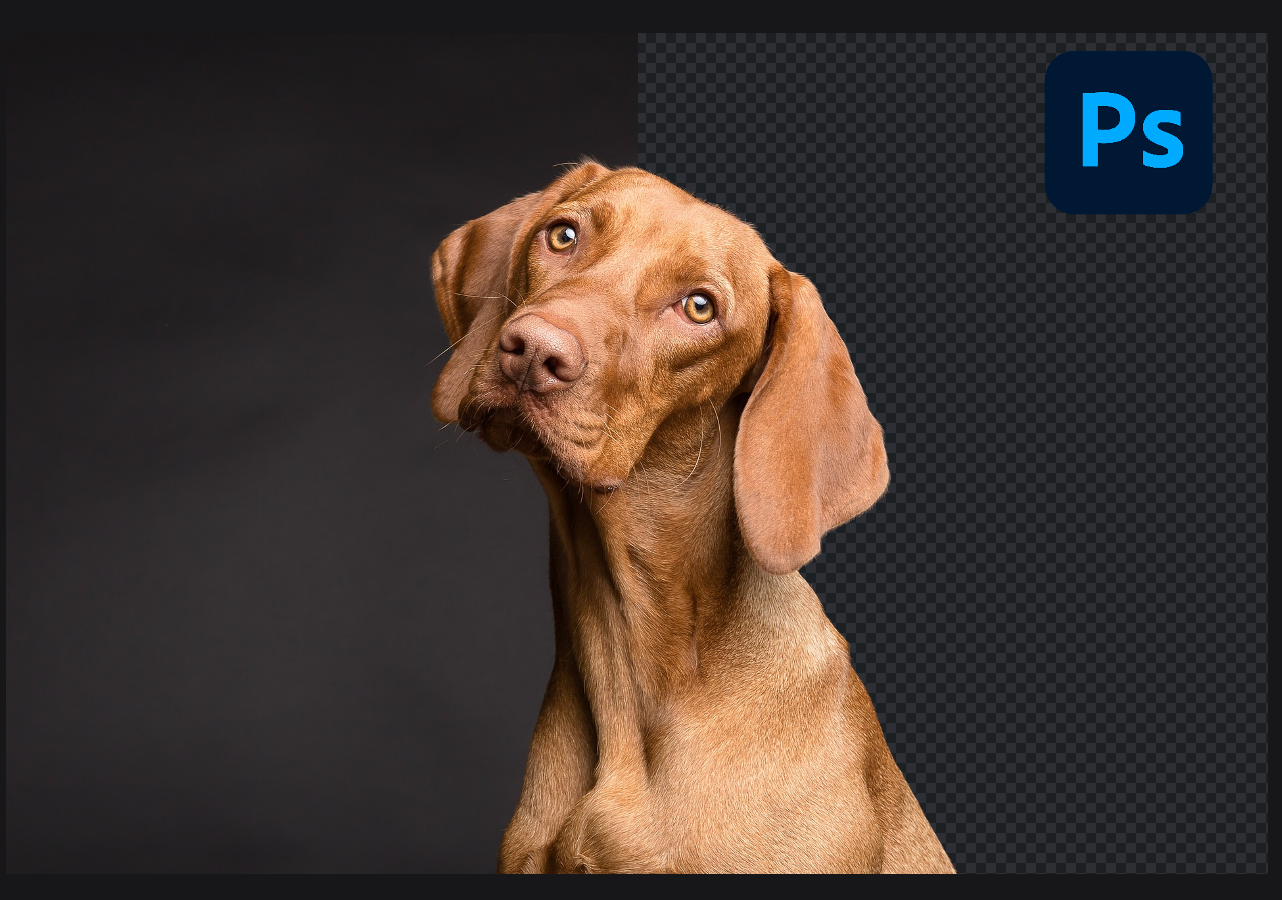 Scontornare con Photoshop consigli