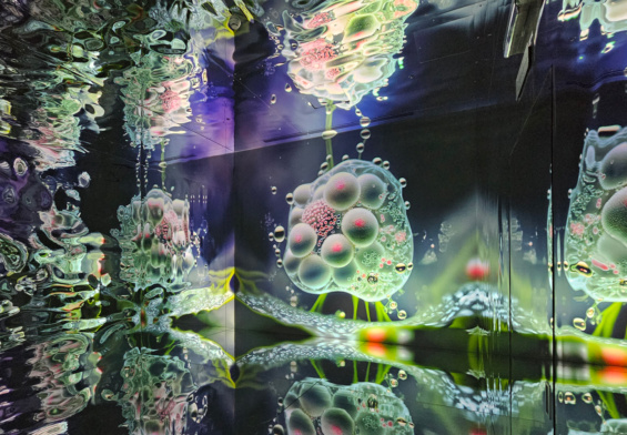 Latent Spaces