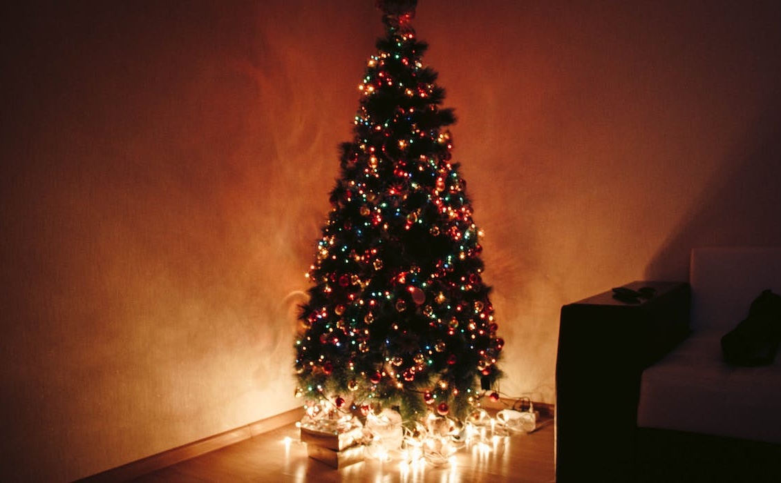 Scegliere l'albero di Natale