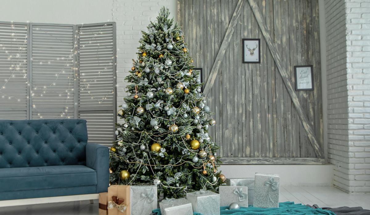 Scegliere l'albero di Natale