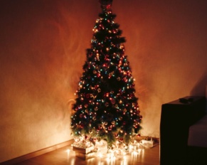 Scegliere l'albero di Natale