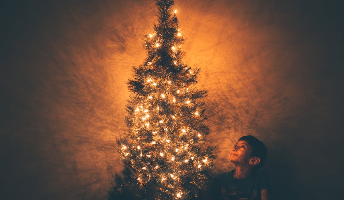 Scegliere l'albero di Natale