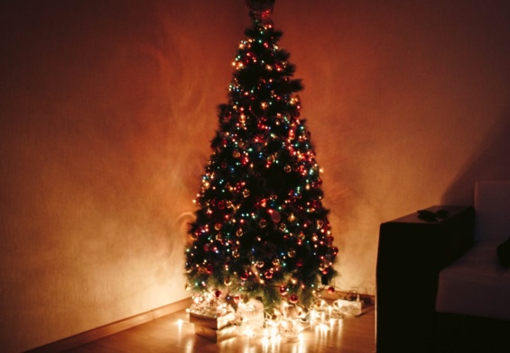 Scegliere l'albero di Natale