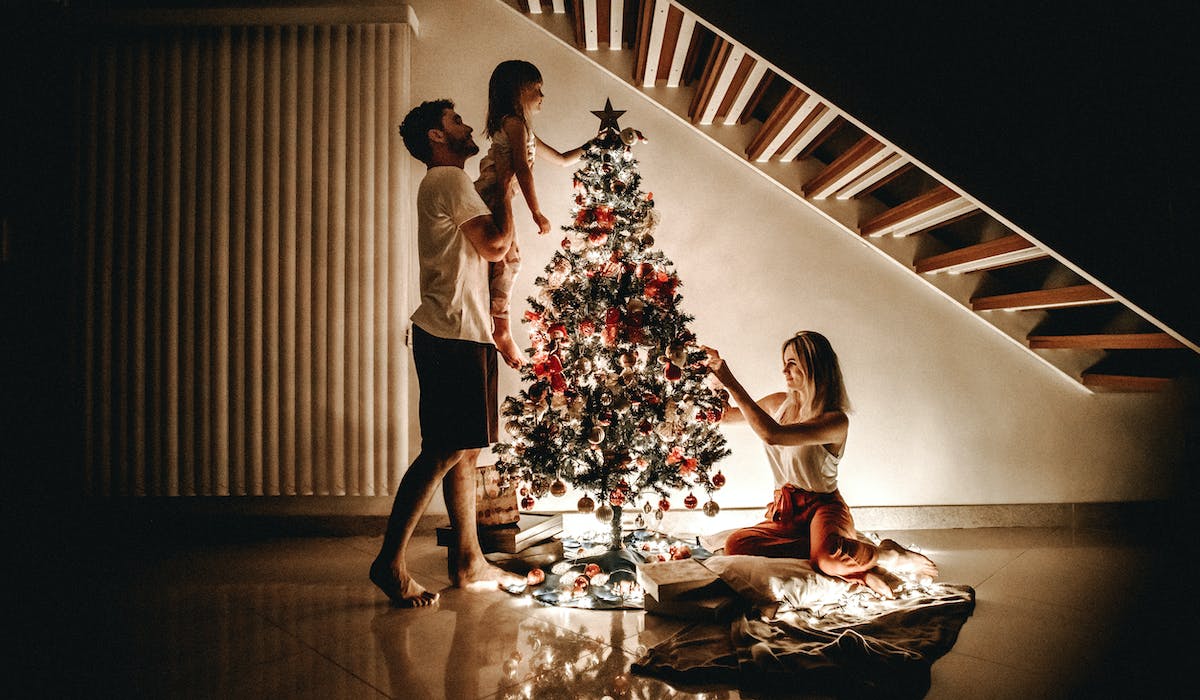 Scegliere l'albero di Natale