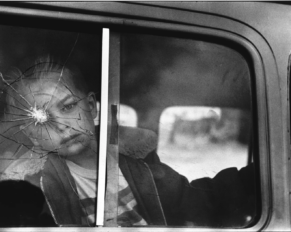 elliott erwitt